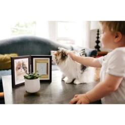 Pearhead Pawprints Dog & Cat Desk Frame, 4 X 6 In 12 Pearhead Pawprints Dog & Cat Desk Frame, 4 X 6 In -PetSafe Kong Shop 116162 PT5. AC SS1800 V1490822998