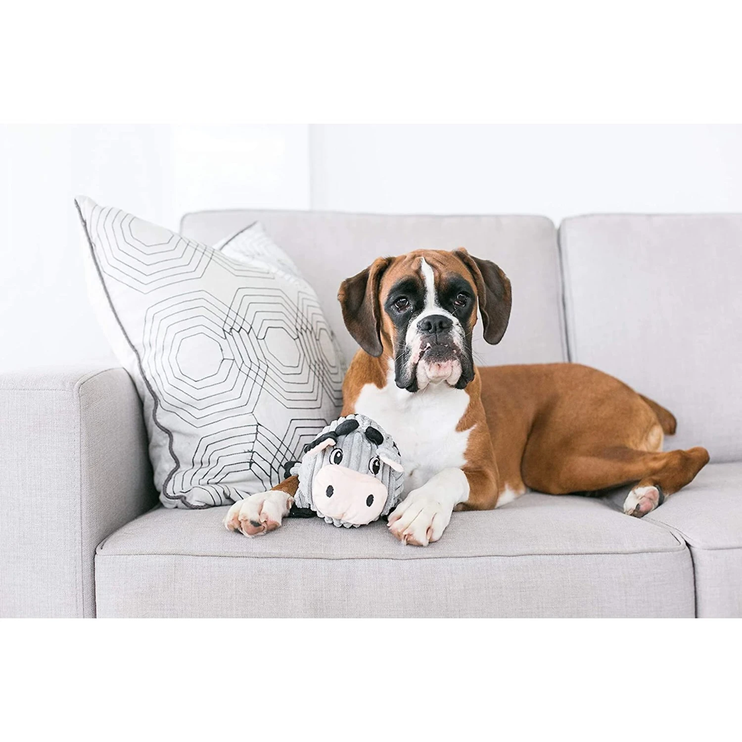 Outward Hound Fattiez Sheep Squeaky Plush Dog Toy 5 Outward Hound Fattiez Sheep Squeaky Plush Dog Toy - Image 5