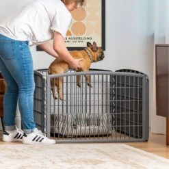 IRIS USA 4-Panel Dog Exercise Playpen, 24-in 15 IRIS USA 4-Panel Dog Exercise Playpen, 24-in -PetSafe Kong Shop 116440 PT6. AC SS1800 V1689701191