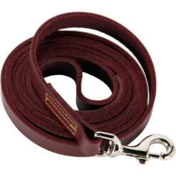 Logical Leather Dog Leash