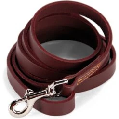 Logical Leather Dog Leash 10 Logical Leather Dog Leash -PetSafe Kong Shop 116583 PT2. AC SS1800 V1491234331