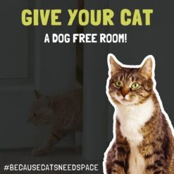 Door Buddy Door Latch -PetSafe Kong Shop 116615 PT8. AC SS1800 V1583272384