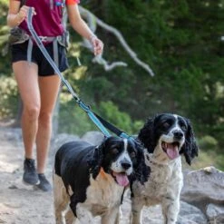 Kurgo Double Dog Leash Extender -PetSafe Kong Shop 116757 PT4. AC SS1800 V1605221806