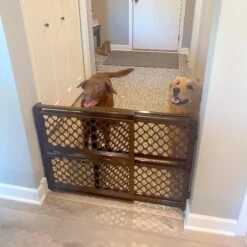 MyPet Petgate Essential Pressure Gate -PetSafe Kong Shop 117740 PT2. AC SS1800 V1667330762