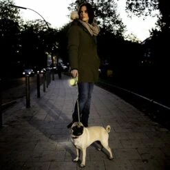 Flexi Neon Nylon Tape Reflective Retractable Dog Leash -PetSafe Kong Shop 117826 PT5. AC SS1800 V1494527441