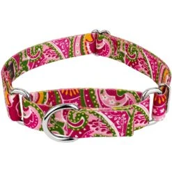 Country Brook Design Paisley Polyester Martingale Dog Collar
