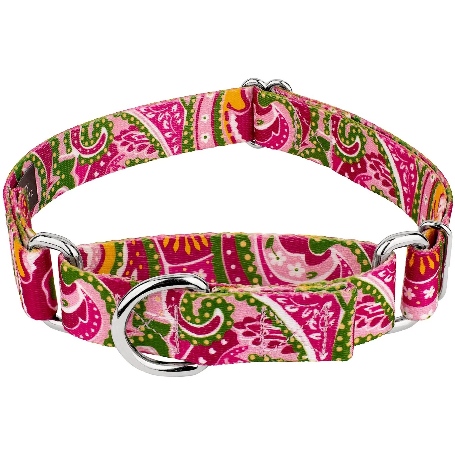 Country Brook Design Paisley Polyester Martingale Dog Collar 1 Country Brook Design Paisley Polyester Martingale Dog Collar
