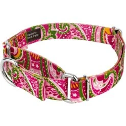 Country Brook Design Paisley Polyester Martingale Dog Collar 7 Country Brook Design Paisley Polyester Martingale Dog Collar -PetSafe Kong Shop 117889 PT2. AC SS1800 V1628304670