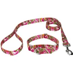 Country Brook Design Paisley Polyester Martingale Dog Collar & Leash