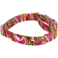 Country Brook Design Paisley Polyester Martingale Dog Collar & Leash -PetSafe Kong Shop 117909 PT3. AC SS1800 V1628304698