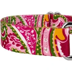 Country Brook Design Paisley Polyester Martingale Dog Collar & Leash -PetSafe Kong Shop 117909 PT4. AC SS1800 V1628308050