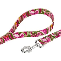 Country Brook Design Paisley Polyester Martingale Dog Collar & Leash -PetSafe Kong Shop 117909 PT5. AC SS1800 V1628308314