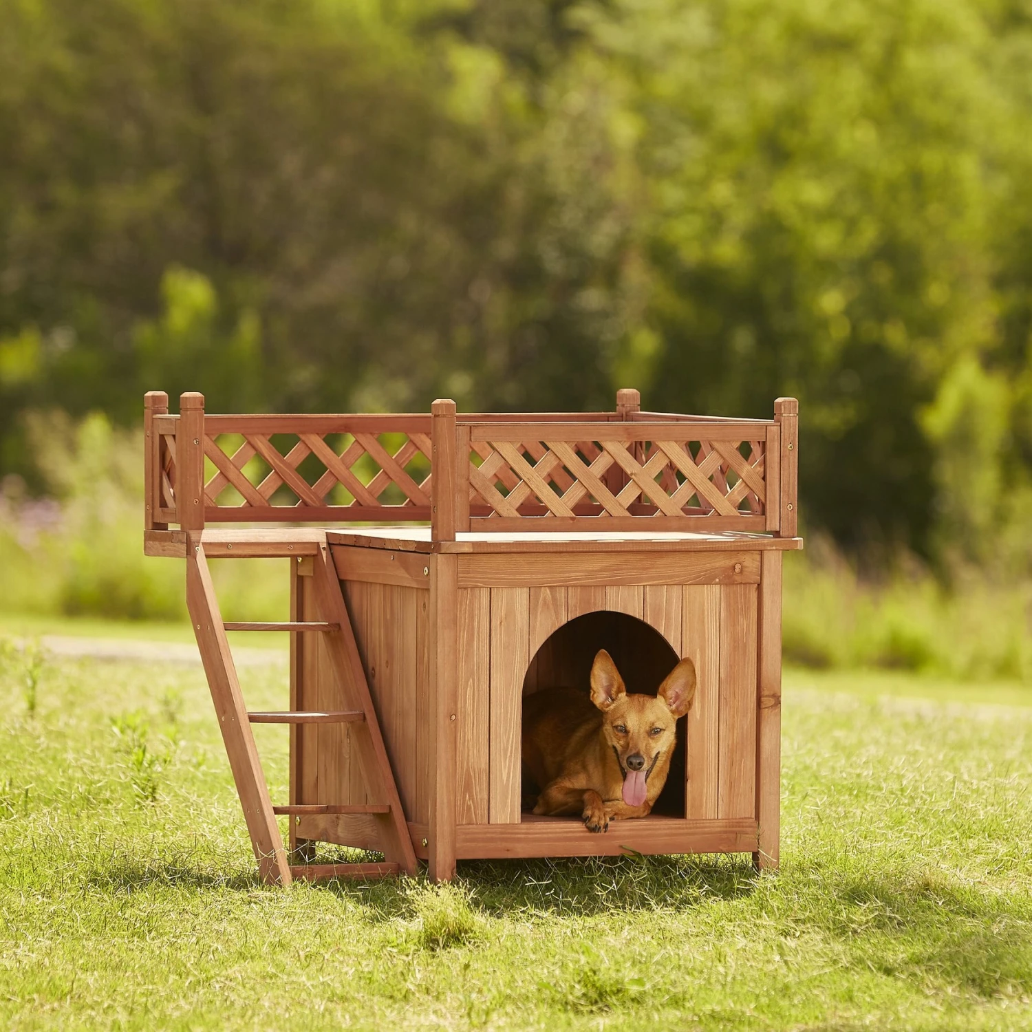 Merry Products Room With A View Wood Dog & Cat House 4 Merry Products Room With A View Wood Dog & Cat House - Image 4