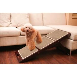 Merry Products Collapsible Cat & Dog Ramp -PetSafe Kong Shop 118027 PT3. AC SS1800 V1511803365