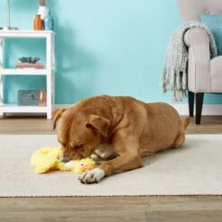 Doggles Plush Bottle Duck Dog Toy -PetSafe Kong Shop 118762 PT2. AC SS1800 V1554126457