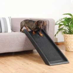 TRIXIE Short Safety Cat & Dog Ramp -PetSafe Kong Shop 118919 PT1. AC SS1800 V1558556674
