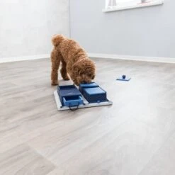 TRIXIE Activity Poker Box Activity Strategy Game Dog Toy, Level 2 11 TRIXIE Activity Poker Box Activity Strategy Game Dog Toy, Level 2 -PetSafe Kong Shop 118931 PT2. AC SS1800 V1686328989