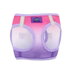 Doggie Design American River Ombre Nylon Reflective Back Clip Dog Harness