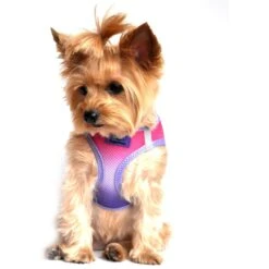 Doggie Design American River Ombre Nylon Reflective Back Clip Dog Harness -PetSafe Kong Shop 119366 PT2. AC SS1800 V1492707754