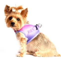 Doggie Design American River Ombre Nylon Reflective Back Clip Dog Harness -PetSafe Kong Shop 119366 PT3. AC SS1800 V1492707741
