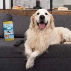 Gonzo Natural Magic Pet Hair Lifter -PetSafe Kong Shop 120851 PT6. AC SS1800 V1623095261