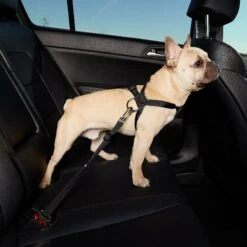 HDP Car Dog Harness & Safety Seat Belt Travel Gear