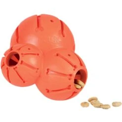 PetSafe Busy Buddy Barnacle Treat Dispenser Dog Toy -PetSafe Kong Shop 121351 PT2. AC SS1800 V1496245904