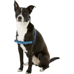 PetSafe Bling Easy Walk Nylon No Pull Dog Harness 8 PetSafe Bling Easy Walk Nylon No Pull Dog Harness -PetSafe Kong Shop 121417 PT2. AC SS1800 V1569532919