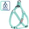 Pawtitas Nylon Reflective Step In Back Clip Dog Harness
