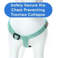 Pawtitas Nylon Reflective Step In Back Clip Dog Harness -PetSafe Kong Shop 121740 PT4. AC SS1800 V1680550206