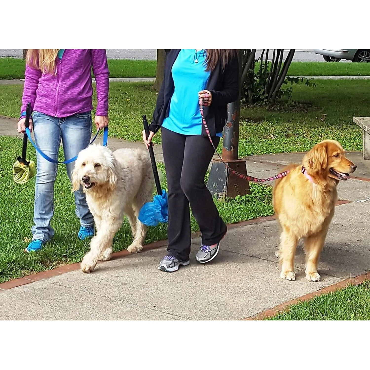 Pooch Approved Products GoGo Stik Pooper Scooper 7 Pooch Approved Products GoGo Stik Pooper Scooper - Image 7