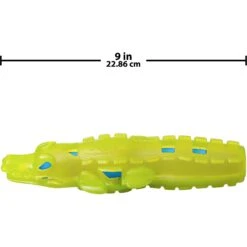 Nerf Dog Super Soaker Squeak Crocodile Dog Toy -PetSafe Kong Shop 121854 PT2. AC SS1800 V1530190821