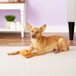 Nerf Dog Light Up Bash Football Dog Toy, Small -PetSafe Kong Shop 121898 PT4. AC SS1800 V1531558337