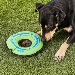 Nerf Dog Tuff Tug Cyclone Ring Dog Toy -PetSafe Kong Shop 121915 PT4. AC SS1800 V1530921436