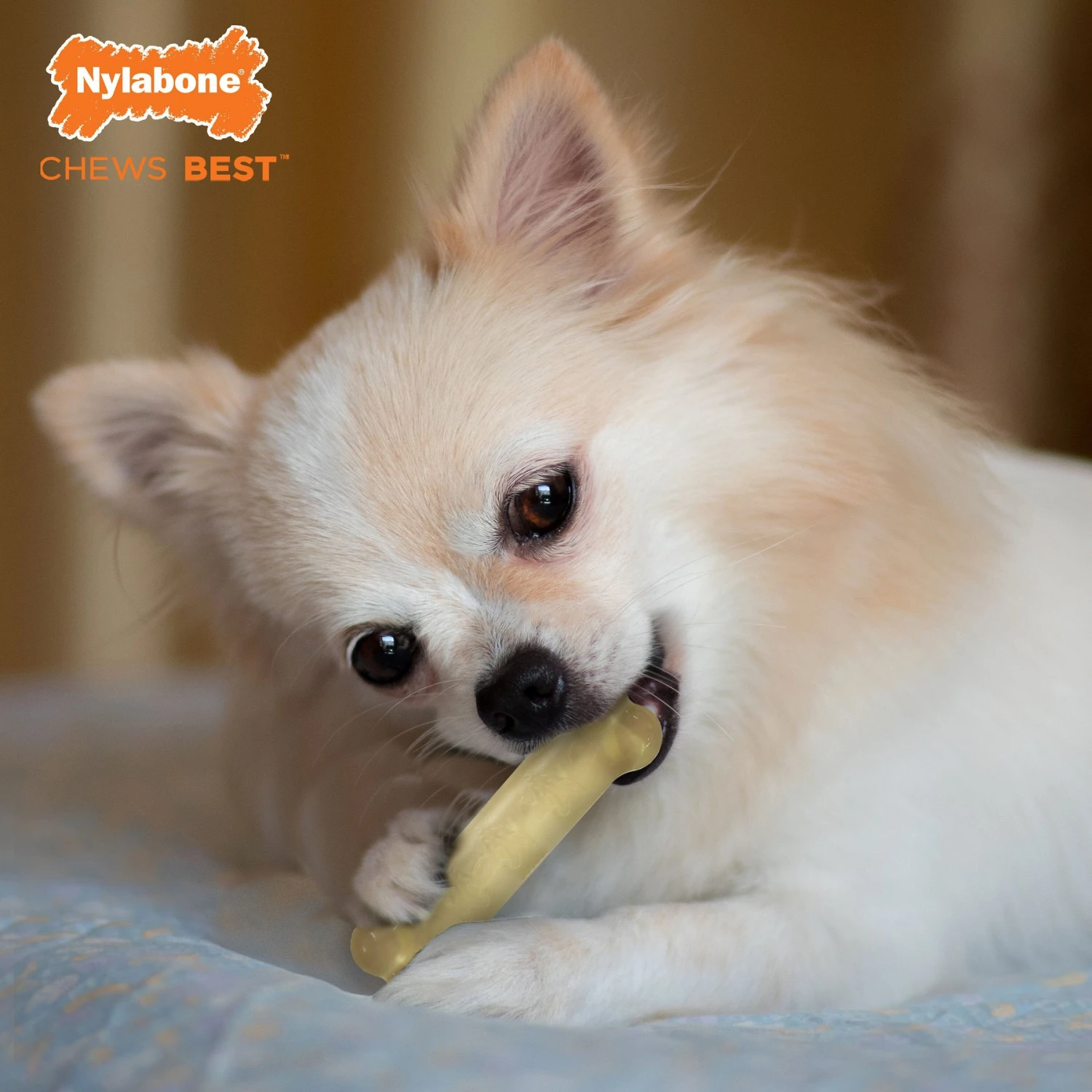 Nylabone FlexiChew Moderate Dog ChewToys 2 Nylabone FlexiChew Moderate Dog ChewToys - Image 2