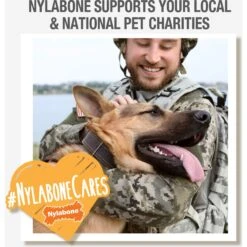 Nylabone FlexiChew Moderate Dog ChewToys 14 Nylabone FlexiChew Moderate Dog ChewToys -PetSafe Kong Shop 121944 PT5. AC SS1800 V1647916401