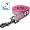 Pawtitas Nylon Reflective Padded Dog Leash