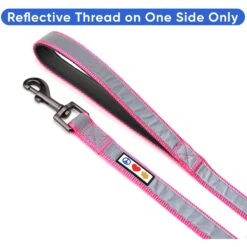 Pawtitas Nylon Reflective Padded Dog Leash -PetSafe Kong Shop 121969 PT2. AC SS1800 V1681492215