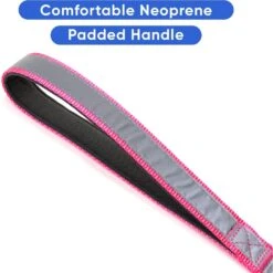 Pawtitas Nylon Reflective Padded Dog Leash -PetSafe Kong Shop 121969 PT3. AC SS1800 V1681492519