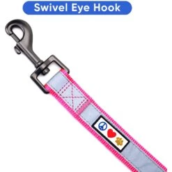 Pawtitas Nylon Reflective Padded Dog Leash -PetSafe Kong Shop 121969 PT4. AC SS1800 V1681492534