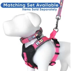 Pawtitas Nylon Reflective Padded Dog Leash -PetSafe Kong Shop 121969 PT5. AC SS1800 V1681492214