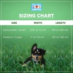 Pawtitas Nylon Reflective Padded Dog Leash -PetSafe Kong Shop 121969 PT6. AC SS1800 V1681491904