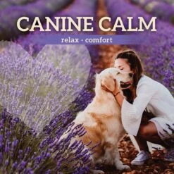 Earth Heart Canine Calm Calming Spray For Dogs -PetSafe Kong Shop 123583 PT4. AC SS1800 V1611613582