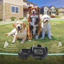 Dogtra E-FENCE 3500 Containment System In-Ground Wired Fence With Rechargeable Wireless Collar -PetSafe Kong Shop 123892 PT7. AC SS1800 V1626190585
