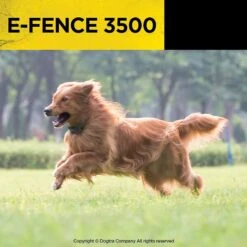 Dogtra E-FENCE 3500 Containment System In-Ground Wired Fence With Rechargeable Wireless Collar -PetSafe Kong Shop 123892 PT8. AC SS1800 V1626191799