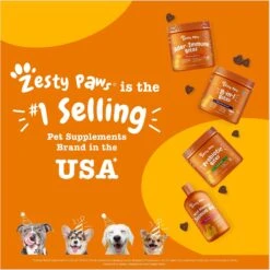 Boss Pet Prestige Dog Tie-Out With Spring, Beast, Silver -PetSafe Kong Shop 124460 PT7. AC SS1800 V1694719333