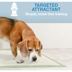 Four Paws Wee-Wee Superior Performance Eco Dog Pee Pads -PetSafe Kong Shop 124513 PT5. AC SS1800 V1685647137