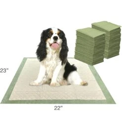 Four Paws Wee-Wee Superior Performance Eco Dog Pee Pads -PetSafe Kong Shop 124513 PT6. AC SS1800 V1685646733