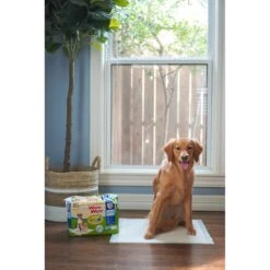 Four Paws Wee-Wee Superior Performance Eco Dog Pee Pads -PetSafe Kong Shop 124513 PT8. AC SS1800 V1685650449