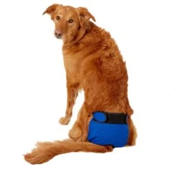 Wee-Wee Disposable Dog Diaper Super Absorbent Liner Pads 15 Wee-Wee Disposable Dog Diaper Super Absorbent Liner Pads -PetSafe Kong Shop 124520 PT8. AC SS1800 V1523312981